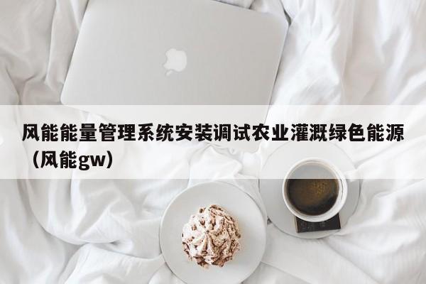 风能能量管理系统安装调试农业灌溉绿色能源（风能gw）