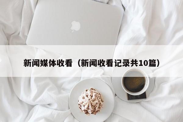 新闻媒体收看（新闻收看记录共10篇）