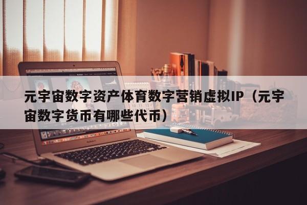 元宇宙数字资产体育数字营销虚拟IP（元宇宙数字货币有哪些代币）