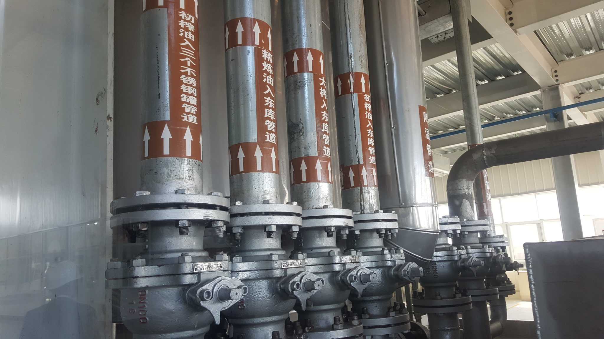紅花籽油精煉設(shè)備廠家電話