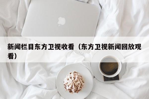 新闻栏目东方卫视收看（东方卫视新闻回放观看）