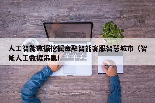 人工智能数据挖掘金融智能客服智慧城市（智能人工数据采集）