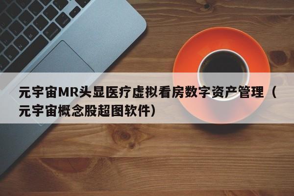 元宇宙MR头显医疗虚拟看房数字资产管理（元宇宙概念股超图软件）