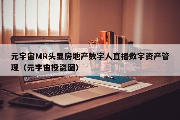 元宇宙MR头显房地产数字人直播数字资产管理（元宇宙投资图）