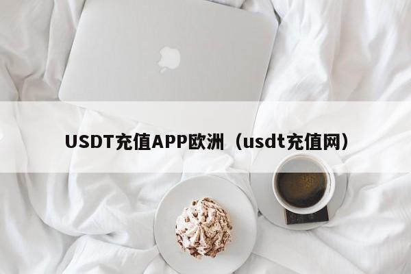 USDT充值APP欧洲（usdt充值网）