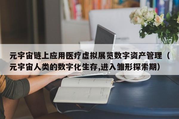 元宇宙链上应用医疗虚拟展览数字资产管理（元宇宙人类的数字化生存,进入雏形探索期）