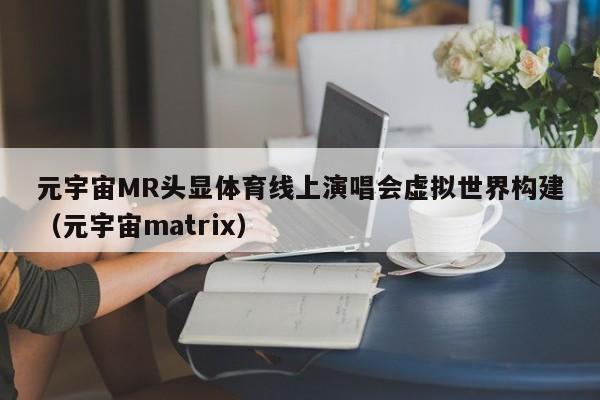 元宇宙MR头显体育线上演唱会虚拟世界构建（元宇宙matrix）
