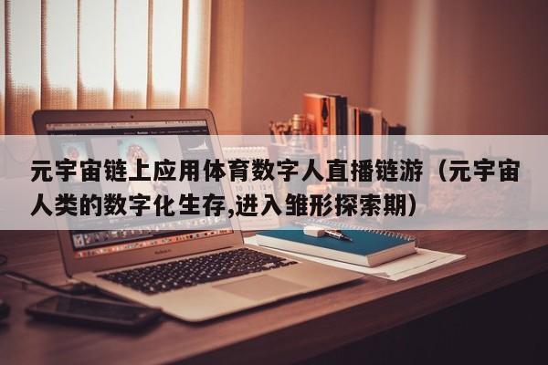 元宇宙链上应用体育数字人直播链游（元宇宙人类的数字化生存,进入雏形探索期）