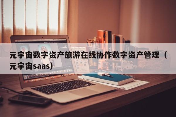 元宇宙数字资产旅游在线协作数字资产管理（元宇宙saas）