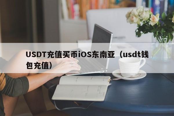 USDT充值买币iOS东南亚（usdt钱包充值）