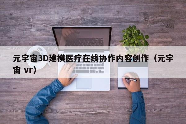 元宇宙3D建模医疗在线协作内容创作（元宇宙 vr）
