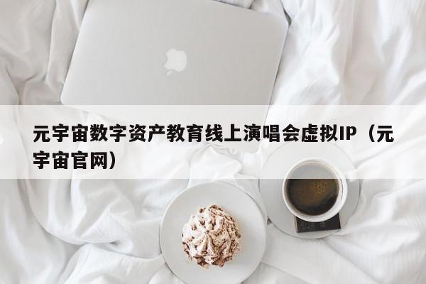元宇宙数字资产教育线上演唱会虚拟IP（元宇宙官网）