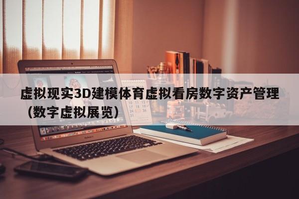 虚拟现实3D建模体育虚拟看房数字资产管理（数字虚拟展览）