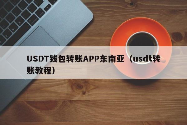 USDT钱包转账APP东南亚（usdt转账教程）