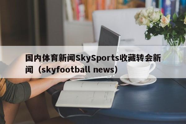国内体育新闻SkySports收藏转会新闻（skyfootball news）