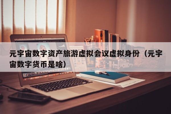元宇宙数字资产旅游虚拟会议虚拟身份（元宇宙数字货币是啥）
