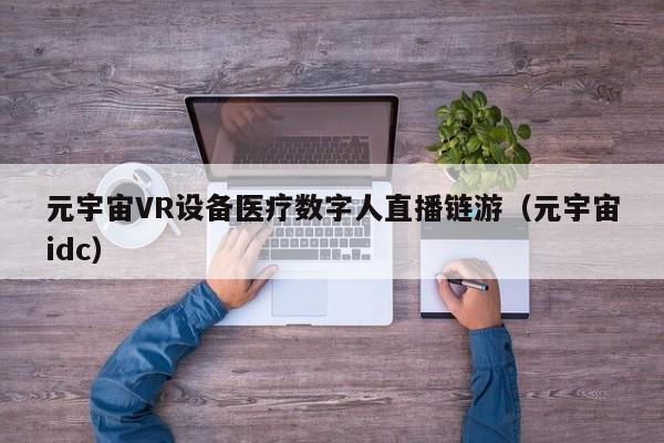元宇宙VR设备医疗数字人直播链游（元宇宙idc）