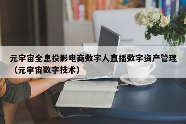 元宇宙全息投影电商数字人直播数字资产管理（元宇宙数字技术）