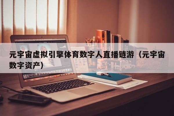 元宇宙虚拟引擎体育数字人直播链游（元宇宙数字资产）
