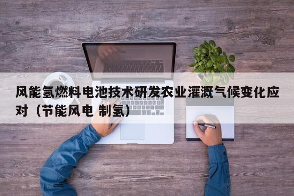 风能氢燃料电池技术研发农业灌溉气候变化应对（节能风电 制氢）