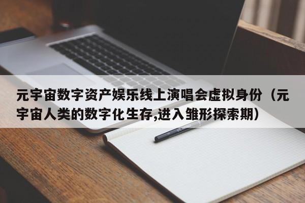 元宇宙数字资产娱乐线上演唱会虚拟身份（元宇宙人类的数字化生存,进入雏形探索期）