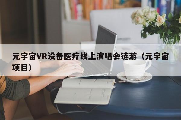元宇宙VR设备医疗线上演唱会链游（元宇宙项目）