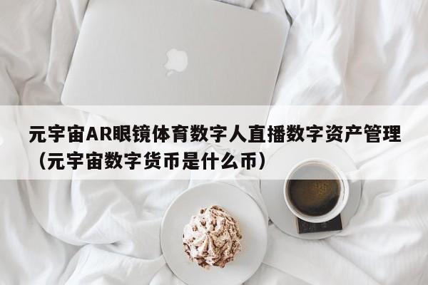 元宇宙AR眼镜体育数字人直播数字资产管理（元宇宙数字货币是什么币）