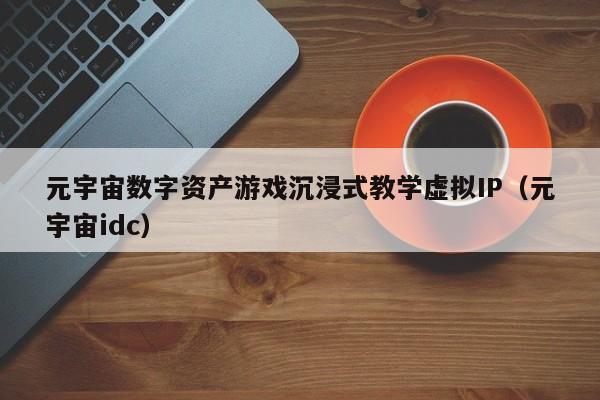 元宇宙数字资产游戏沉浸式教学虚拟IP（元宇宙idc）