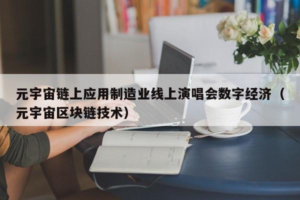 元宇宙链上应用制造业线上演唱会数字经济（元宇宙区块链技术）