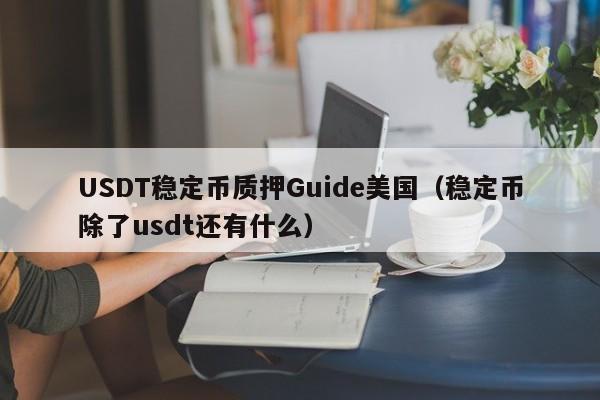 USDT稳定币质押Guide美国（稳定币除了usdt还有什么）