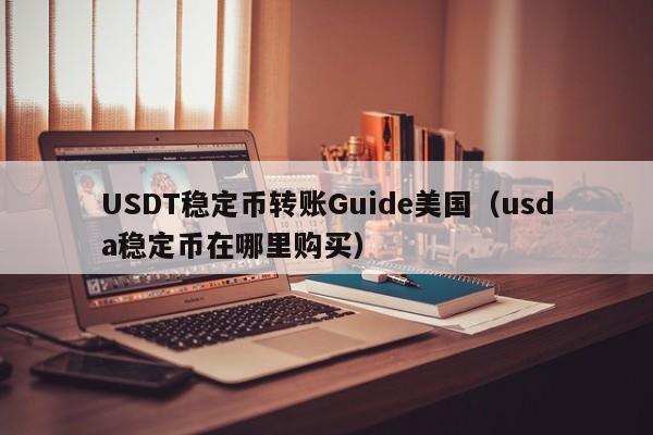 USDT稳定币转账Guide美国（usda稳定币在哪里购买）
