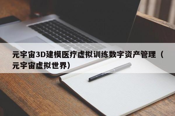 元宇宙3D建模医疗虚拟训练数字资产管理（元宇宙虚拟世界）
