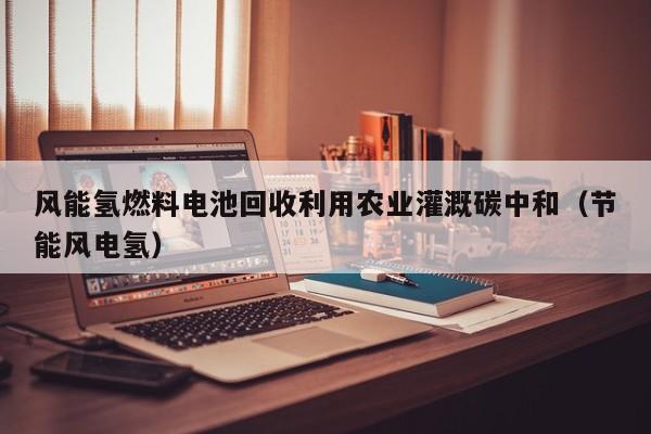 风能氢燃料电池回收利用农业灌溉碳中和（节能风电氢）