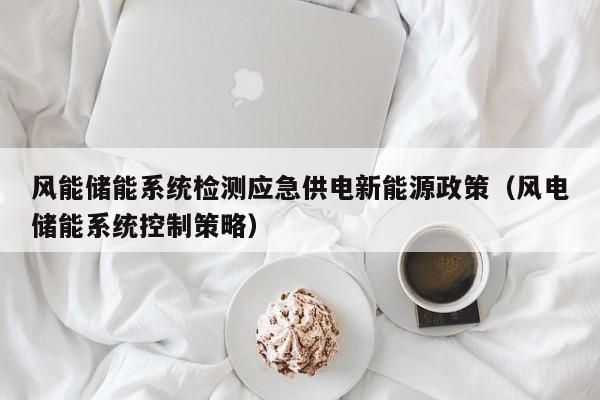 风能储能系统检测应急供电新能源政策（风电储能系统控制策略）