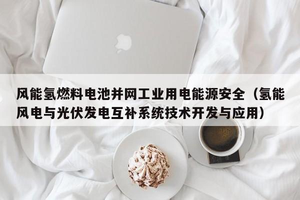 风能氢燃料电池并网工业用电能源安全（氢能风电与光伏发电互补系统技术开发与应用）