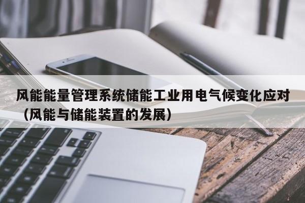 风能能量管理系统储能工业用电气候变化应对（风能与储能装置的发展）