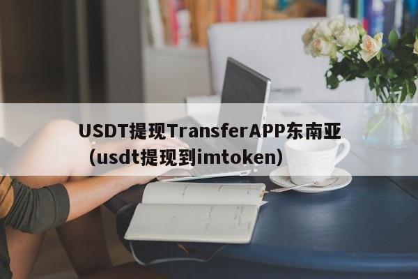 USDT提现TransferAPP东南亚（usdt提现到imtoken）