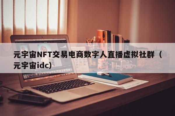 元宇宙NFT交易电商数字人直播虚拟社群（元宇宙idc）