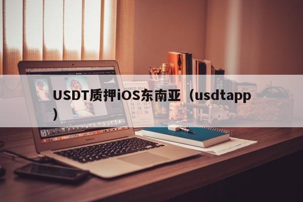 USDT质押iOS东南亚（usdtapp）