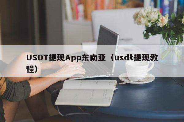 USDT提现App东南亚（usdt提现教程）