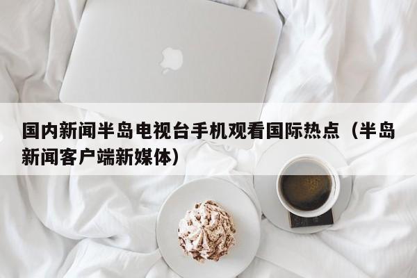 国内新闻半岛电视台手机观看国际热点（半岛新闻客户端新媒体）