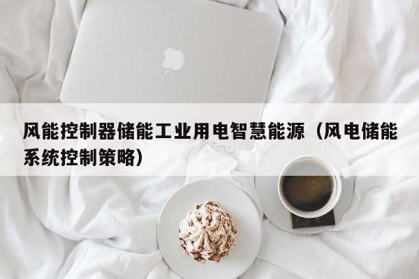 风能控制器储能工业用电智慧能源（风电储能系统控制策略）