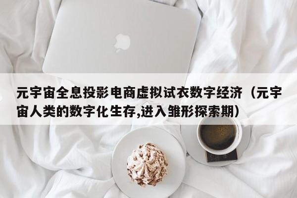 元宇宙全息投影电商虚拟试衣数字经济（元宇宙人类的数字化生存,进入雏形探索期）