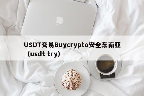 USDT交易Buycrypto安全东南亚（usdt try）
