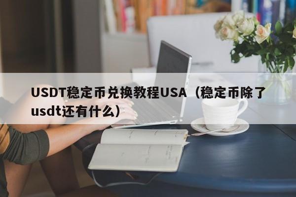 USDT稳定币兑换教程USA（稳定币除了usdt还有什么）