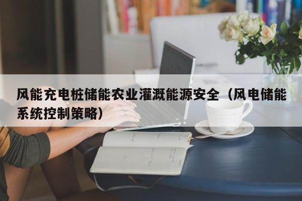 风能充电桩储能农业灌溉能源安全（风电储能系统控制策略）