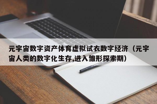 元宇宙数字资产体育虚拟试衣数字经济（元宇宙人类的数字化生存,进入雏形探索期）