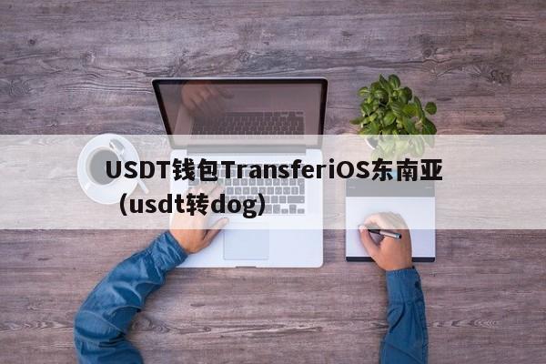 USDT钱包TransferiOS东南亚（usdt转dog）