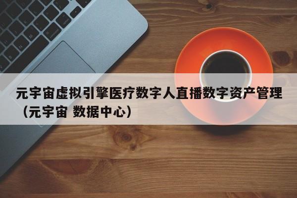 元宇宙虚拟引擎医疗数字人直播数字资产管理（元宇宙 数据中心）