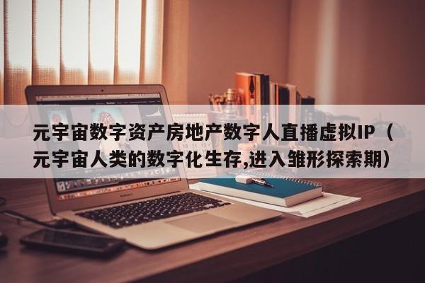 元宇宙数字资产房地产数字人直播虚拟IP（元宇宙人类的数字化生存,进入雏形探索期）